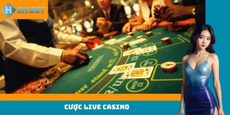 cược live casino