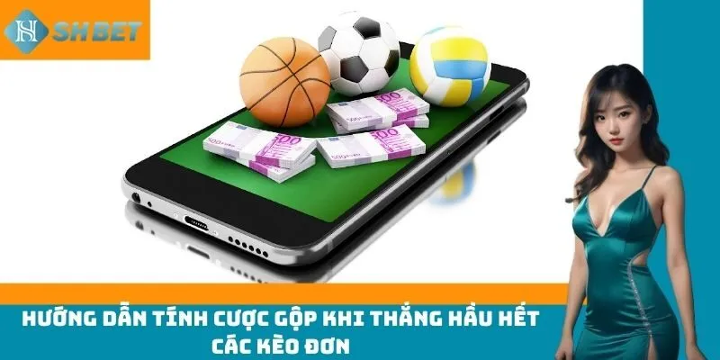 Hướng dẫn tính cược gộp khi thắng hầu hết các kèo đơn