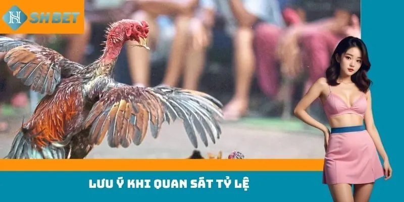 Lưu ý khi quan sát tỷ lệ