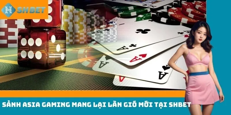 Sảnh Asia Gaming mang lại làn gió mới tại Shbet