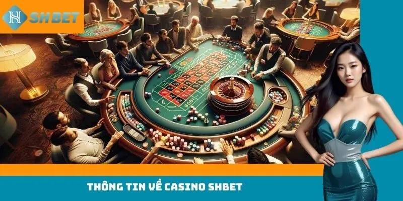 Thông tin về Casino Shbet